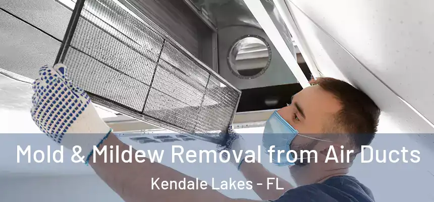 Mold & Mildew Removal from Air Ducts Kendale Lakes - FL