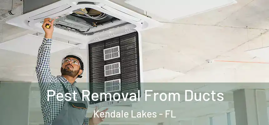 Pest Removal From Ducts Kendale Lakes - FL