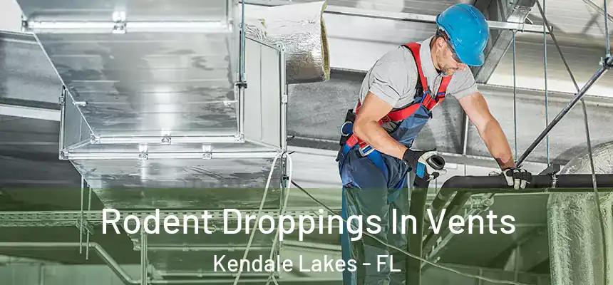 Rodent Droppings In Vents Kendale Lakes - FL